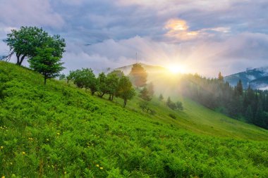Sabah gökyüzü altında bulutlu görkemli dağlar. Fırtınadan önce bulutlu gökyüzü. Carpathian, Ukrayna, Avrupa.