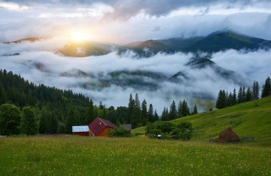 Sabah ışığında dağ çayırında. Çimenli tepenin arkasındaki ormanın arkasında sisli bir vadi ile ilkbahar manzarası. Parlak mavi gökyüzünde kabarık bulutlar. Doğa tazeliği kavramı
