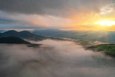 Dağlarda inanılmaz bir sabah sisi var. Kızıl kayın ormanında güzel bir gün doğumu ışığı parlıyor. İHA panoraması. Peyzaj fotoğrafçılığı