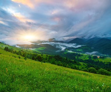 Alplerde yeşil çayırlar, çiçek açan çiçekler ve arka planda karla kaplı dağ tepeleri olan Idyllic manzarası.
