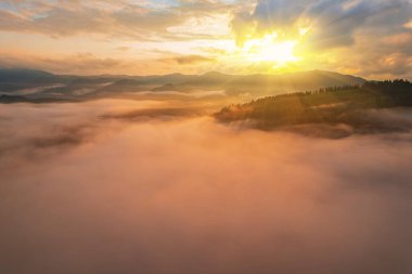 Dağlarda sis ve sıra sıra ağaçlarla kaplı bir manzara.