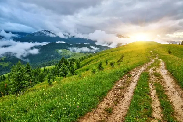 Alplerde yeşil çayırlar, çiçek açan çiçekler ve arka planda karla kaplı dağ tepeleri olan Idyllic manzarası.