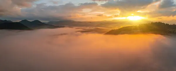 Mountains in clouds at sunrise in summer. Aerial view of mountain peak with green trees in fog. Beautiful landscape with high rocks, forest, sky. Top view from drone of mountain valley in low clouds