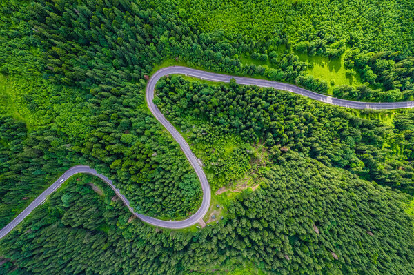 Winding road trough dense pine forest. Aerial drone view, top down
