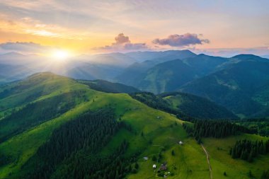 Alplerde yeşil çayırlar, çiçek açan çiçekler ve arka planda karla kaplı dağ tepeleri olan Idyllic manzarası.