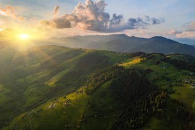 Alplerde yeşil çayırlar, çiçek açan çiçekler ve arka planda karla kaplı dağ tepeleri olan Idyllic manzarası.