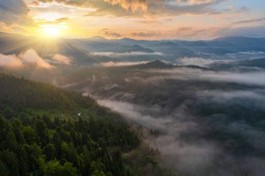 Alplerde yeşil çayırlar, çiçek açan çiçekler ve arka planda karla kaplı dağ tepeleri olan Idyllic manzarası.