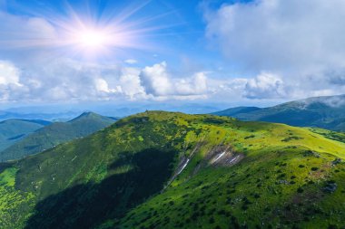 Alplerde yeşil çayırlar, çiçek açan çiçekler ve arka planda karla kaplı dağ tepeleri olan Idyllic manzarası.