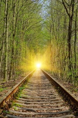 Ukraine. Spring. Railway in the dense deciduous forest. Tunnel Of Love clipart