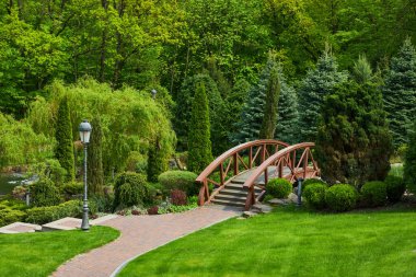 Parktaki ahşap köprü. Briçli bir yaz parkı. Yaz parkının manzarası