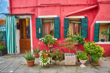 Evin kırmızı cephesinde çiçek olan kapı ve pencere. Burano Adası, Venedik, İtalya 'da renkli mimari.