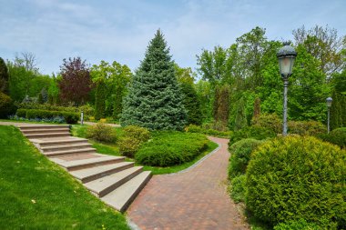 önünde adımlar ve giriş ile binanın arka bahçesinde bir kare şekli ile kesilmiş dökmeyen arborvitae çalılar yetişir, yaya kaldırım arborvitae bir labirent etrafında fayans yapılmış.