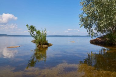 yaz günü gölet ve su bitkileri
