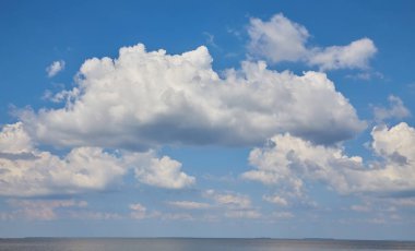Orman gölünün sularının altında kalmış bir adada bir sazlık yetişiyor..
