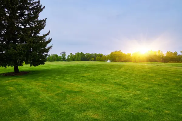 Golf sahasının Panorama Manzarası ve güzel yeşil alan. Zengin yeşil çimenlikli golf sahası. Güzel manzara..