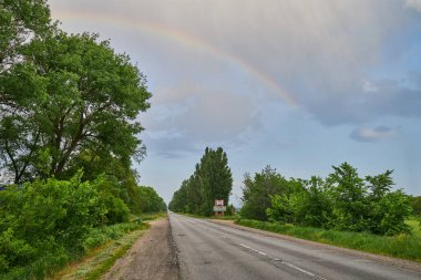 Ukrayna 'da kolza tohumu tarlalarında yumuşak bir sabah. Sembolik renkler sarı-mavi, ülkenin bayrağı gibi, altın ve cennet gibi..