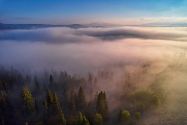 Yazın gün doğumunda bulutların içinde dağlar. Siste yeşil ağaçlar olan dağ zirvesinin havadan görünüşü. Yüksek kayalar, orman ve gökyüzü olan güzel bir manzara. Dağ vadisinin alçak bulutlu insansız hava aracı manzarası