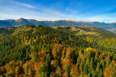 Güneşli bir sonbahar gününde dağların drone görüntüsü