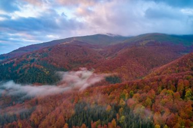 Ukrayna Karpatları 'nda yaz aylarında sislerin üzerinden uçarlar. Ufuktaki dağlar. Yoğun bir sis tabakası daimi bir halıyla dağları kaplar. Hava aracı görünümü.