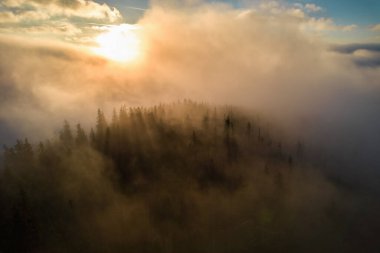 Sis şafakta dağların üzerine yayılır. Güneş ufuktan doğuyor. Sabah Ukraynalı Karpatlar. Hava aracı görünümü.