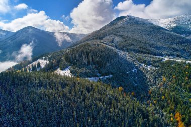 Sonbahar ormanlarına ilk kar yağdı. Sarı yaprakların altında soğuk bir fırtına. İHA 'yla kuş bakışı fotoğraf.