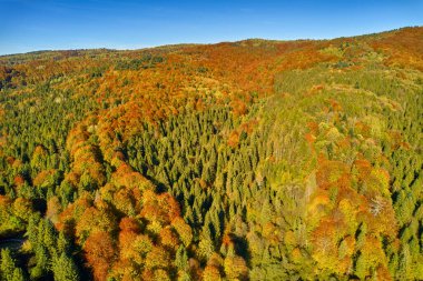 Güneşli bir sonbahar gününde dağların drone görüntüsü