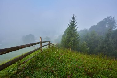 Dağdan ormanın manzarası. Sis. Alpler