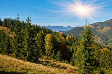 Dağların sonbahar manzarası renkli ormanlarla dolu.