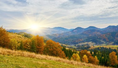 Karpat dağlarında renkli bir sonbahar sabahı. Ukrayna, Avrupa.