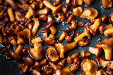 Kızarmış chanterelle mantarı, biberiye ve kızartma tavasında otlar. Yakın plan. Orman korkuluklarının mevsimi.