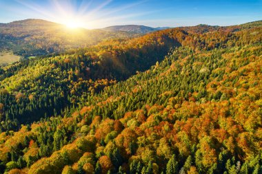 Güneşli bir sonbahar gününde dağların drone görüntüsü