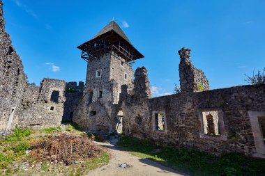 Nevitsky Kalesi 'nin kalıntıları. Uzhgorod Ukrayna