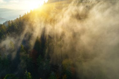 Sis şafakta dağların üzerine yayılır. Güneş ufuktan doğuyor. Sabah Ukraynalı Karpatlar. Hava aracı görünümü.