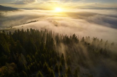 Sis şafakta dağların üzerine yayılır. Güneş ufuktan doğuyor. Sabah Ukraynalı Karpatlar. Hava aracı görünümü.