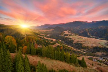 Sonbahar ormanı üzerindeki hava aracı görüntüsü. Ormanda renkli ağaçlar. Sonbahar arka planı, yukarıdan sonbahar ağaçlarıyla güzel orman manzarasının hava aracı görüntüsü..