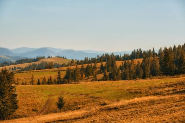 Karpat Dağları 'ndaki sonbaharın büyüleyici duvar halısına bakın. Görkemli tepeler gururla durur, çevrende canlı bir çiçek yaprakları vardır. Kırmızı, turuncu ve altın renkleri manzarayı boyar ve nefes kesici bir renk senfonisi yaratır..