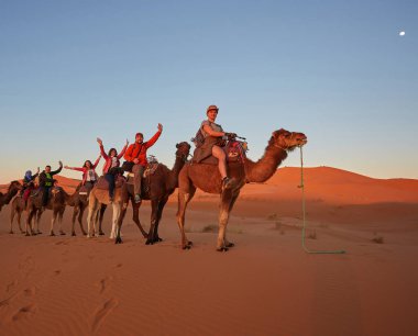 Bir grup neşeli turist Fas 'taki büyüleyici Sahra Çölü' nü keşfetmek için deve safarisine çıktı.