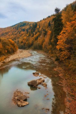 Görkemli bir sonbahar nehri görkemli dağlık bir ormanda zarafetle yol alır. Sakin sular, etrafındaki yaprakların canlı tonlarını yansıtan sakin bir atmosfer yaratıyor. Akan suyun büyüleyici kombinasyonu, kule