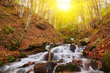 Görkemli bir sonbahar nehri görkemli dağlık bir ormanda zarafetle yol alır. Sakin sular, etrafındaki yaprakların canlı tonlarını yansıtan sakin bir atmosfer yaratıyor. Akan suyun büyüleyici kombinasyonu, kule