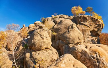 dağlarda güzel sonbahar öğleden sonra. sonbahar renklerinde bir tepenin kenarında ağaçlar. akşam güneşli bir havada romanyanın harika kırsal