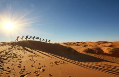 A group of tourists explores the majestic sand dunes of the Sahara Desert in Morocco on a sunny day clipart