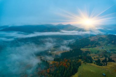 Sonbahar ormanı üzerindeki hava aracı görüntüsü. Ormanda renkli ağaçlar. Sonbahar arka planı, yukarıdan sonbahar ağaçlarıyla güzel orman manzarasının hava aracı görüntüsü..