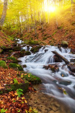 Görkemli bir sonbahar nehri görkemli dağlık bir ormanda zarafetle yol alır. Sakin sular, etrafındaki yaprakların canlı tonlarını yansıtan sakin bir atmosfer yaratıyor. Akan suyun büyüleyici kombinasyonu, kule