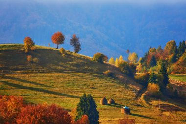 Dağların sonbahar manzarası renkli ormanlarla dolu.