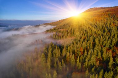 Güneşli bir sonbahar gününde dağların drone görüntüsü