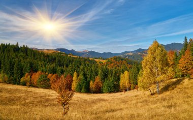 Dağların sonbahar manzarası renkli ormanlarla dolu.