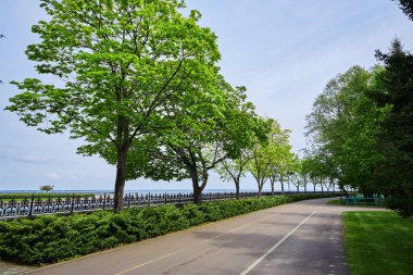 Küçük bir asfalt yol yemyeşil bir çimenlik ve ağaçla çevrili, bir yaz gününün sıcağında yıkanmış. Açık havada güneşli bir günün basitliğini ve güzelliğini yakalamak için ideal..