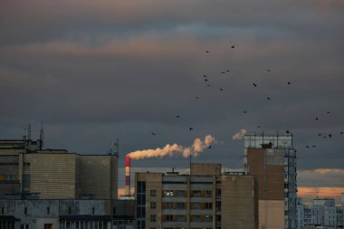 Bir fabrika bacası, şehir binalarının üzerine bulutlarla dolu dramatik gökyüzü ile çelişen beyaz duman yayar. Endüstriyel sahne, kentsel yaşamın ve çevresel etkinin özünü yakalıyor..
