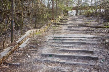 Pripyat 'ta hiçbir yere çıkmayan bir merdiven. Bitkilerle kaplanmış ve Çernobil faciasından bu yana unutulmuş..
