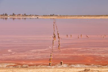 Pembe tuz gölü, muhtemelen Sasyk-Syvash, suya uzanan aşınmış ahşap direklerle..